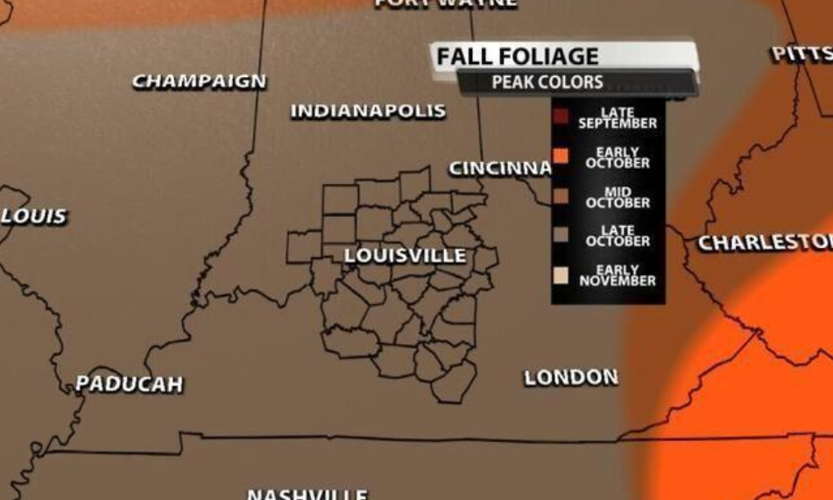 fall foliage peak.PNG