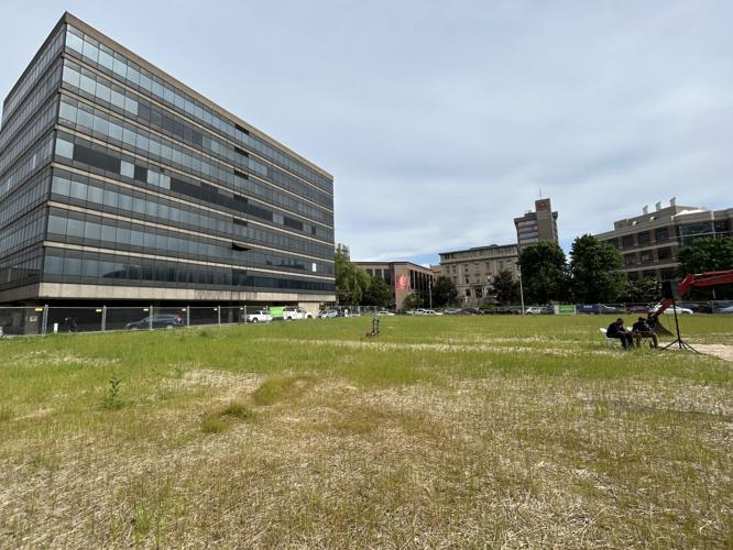 Lou med commons-1.jpg