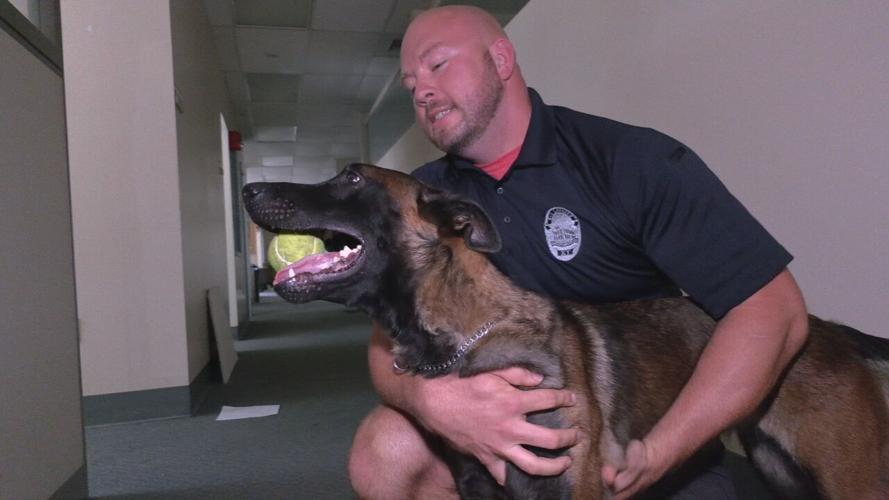 Officer Ellie K9 (2).jpeg