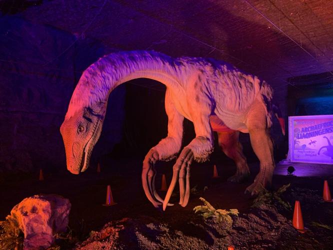 DINO SAFARI - MEGA CAVERNS 4-13-2021  (1).jpg