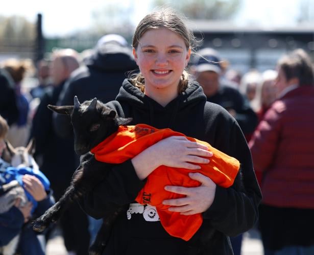 Girl holds a goat at Bockfest.JPG