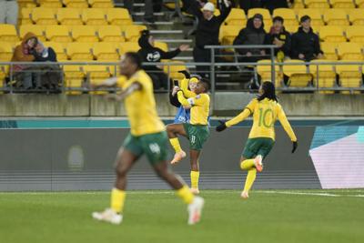 WWCup South Africa Italy Soccer