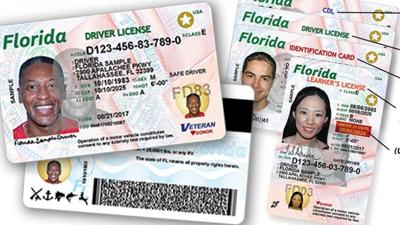 Florida driver's licenses