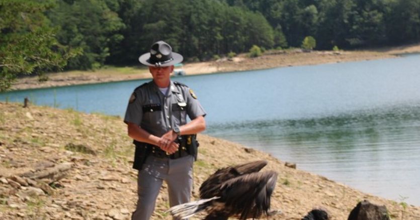 Injured bald eagle released back into the wild after Kentucky State Police trooper's rescue