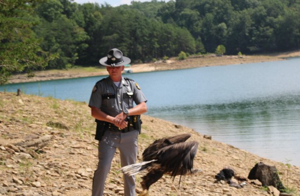 Injured bald eagle released back into the wild after Kentucky State Police trooper's rescue