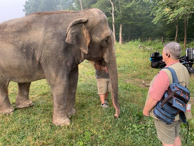 Wilstem Wildlife Park