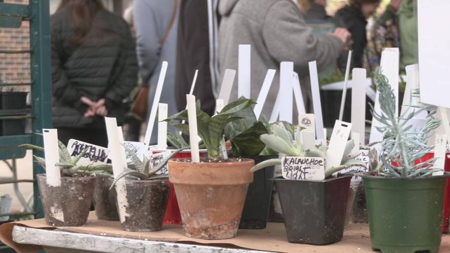 PARISTOWN GARDEN SHOW
