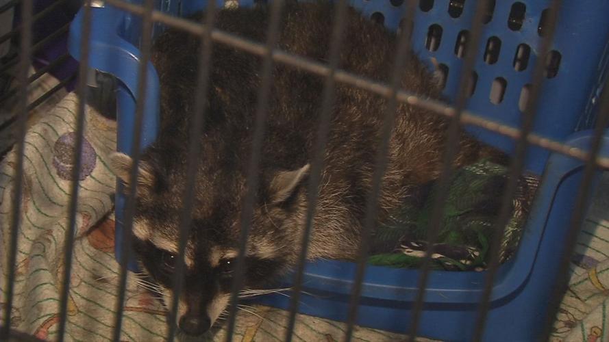 Second chances baby shower 10.jpg