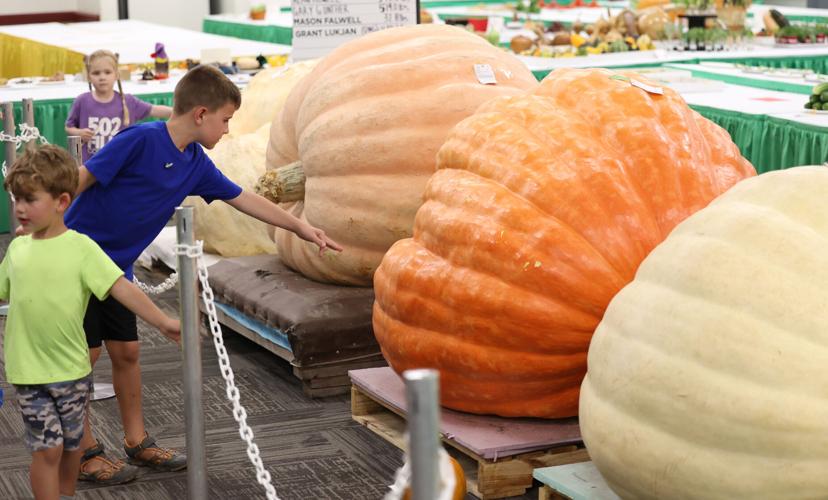 Pumpkins at the Kentucky State Fair