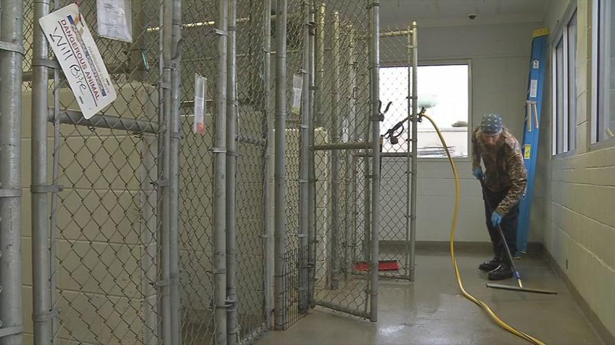 animal shelter flooding 3