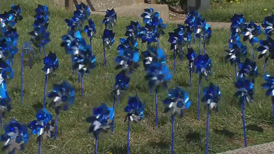Pinwheels for Prevention