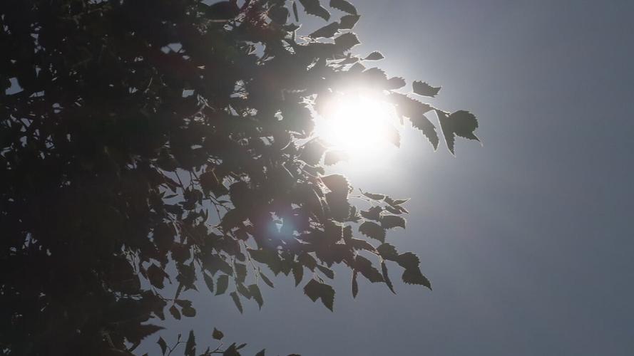 Sun in the Louisville sky (1).jpeg