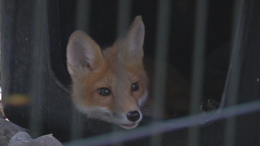 Second chances baby shower 9.jpg