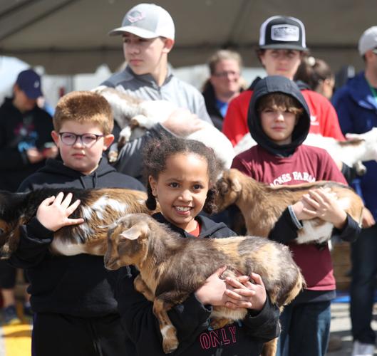 Girl carries goat to race