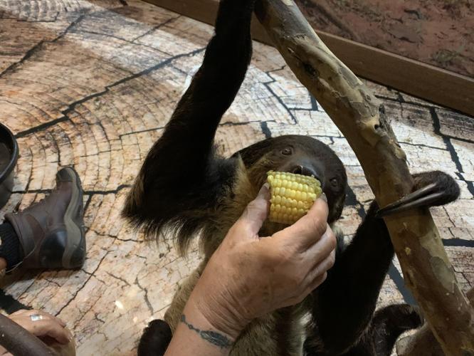 Wilstem Wildlife Park (68).JPG