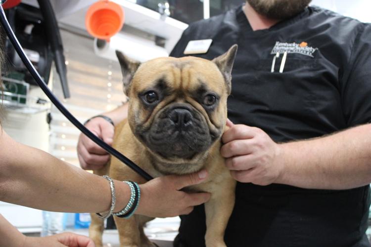 KHS - CARE-A-VAN - VETERINARY CARE  6-20--2025 (3).JPG