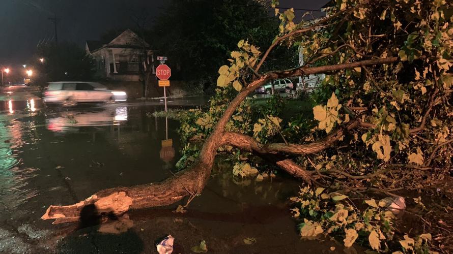 Tree down during storms 8-26-21.jfif