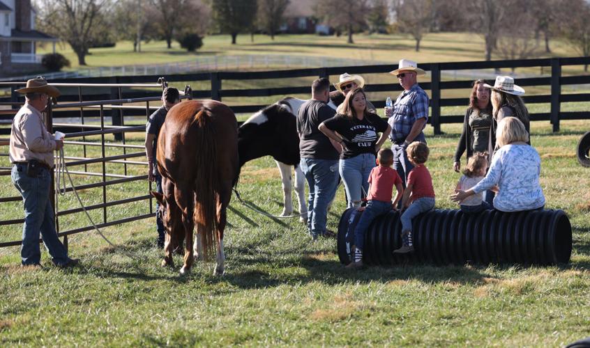 Meet the Horses