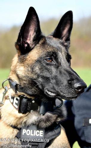 Shelbyville Police Department K-9 'J.C.'