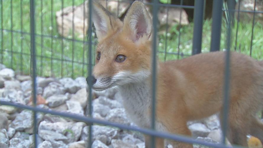 Second chances baby shower 8.jpg