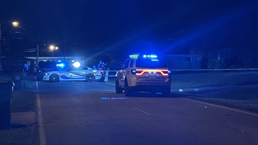 Kingswood Way Homicide