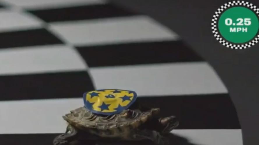 What The Turtleneck wins Old Forester's Kentucky Turtle Derby