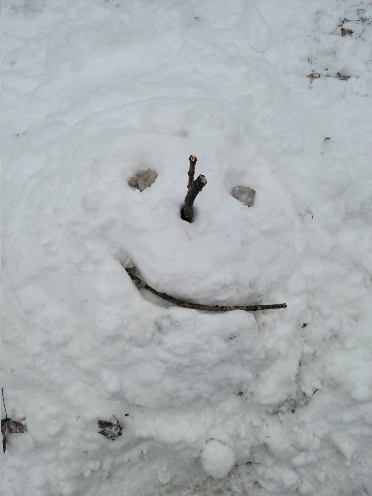 SNOW - KIDS PLAYING - HAYDEN REDMON.jpg