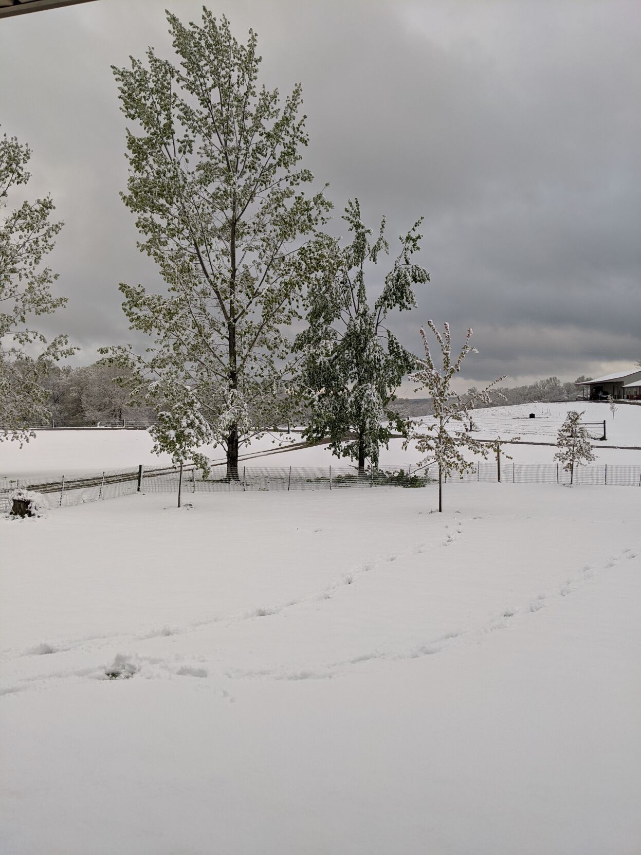 Carroll County Snow.jpg