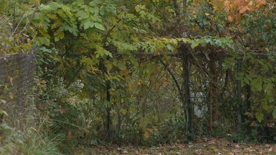 Hardin County neighborhood sewage