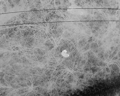 OLDHAM COUNTY THERMAL IMAGING MISSING MAN 12-23-2025.png