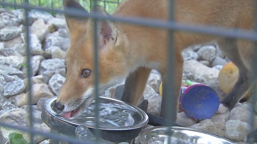 Second chances baby shower 7.jpg