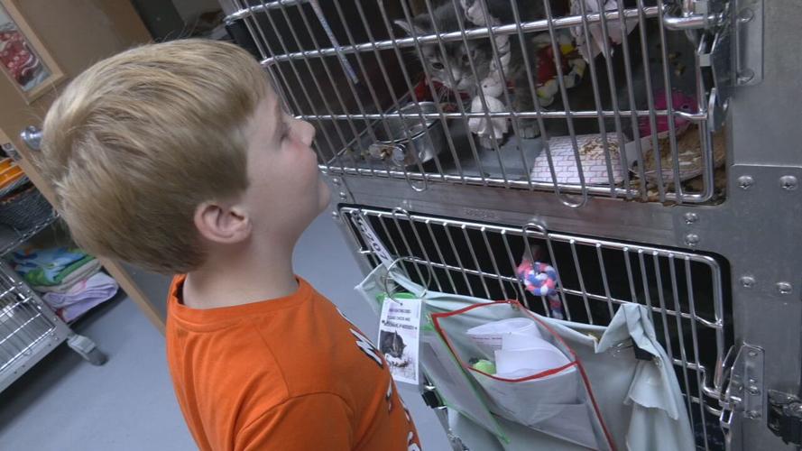 Aleric Crump looks at animals in crates at shelter