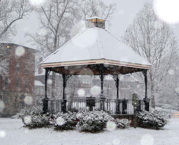 Snow in Louisville-1-27-21-Eric Crawford (2).jpg