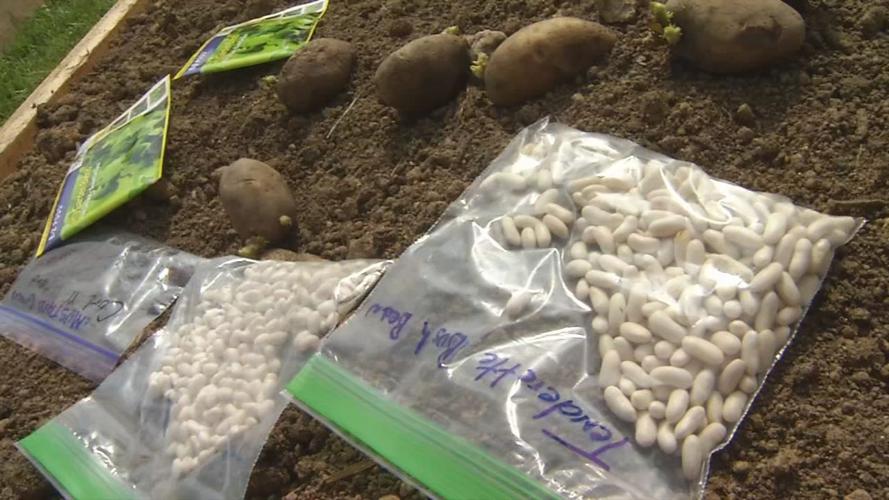 Eastern Star Baptist Church community garden