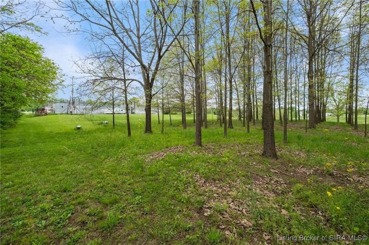 Charlestown Castle66.jpg