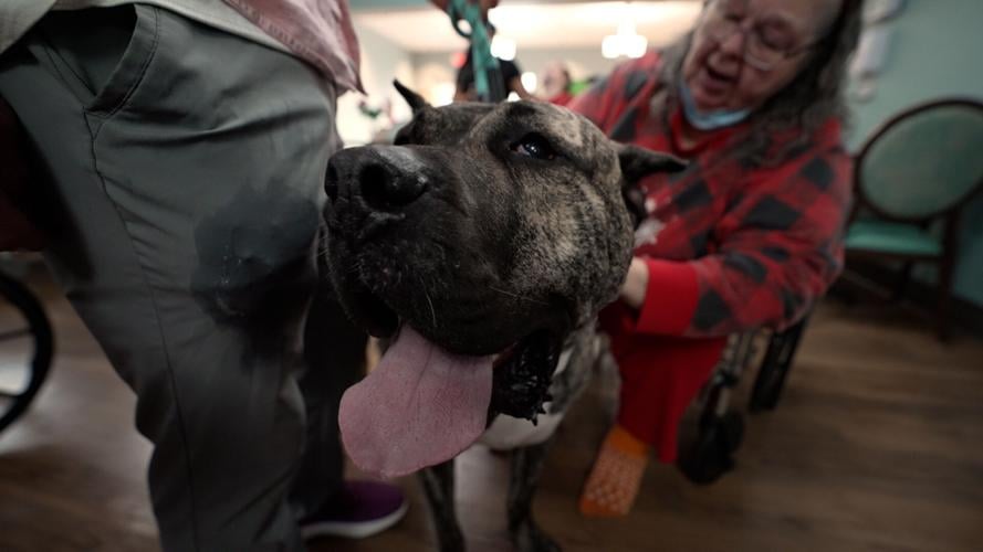 Ethan Nursing Home Visit 5.jpg