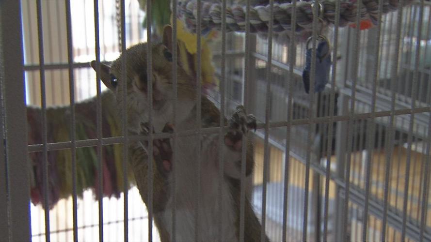 Second chances baby shower 6.jpg