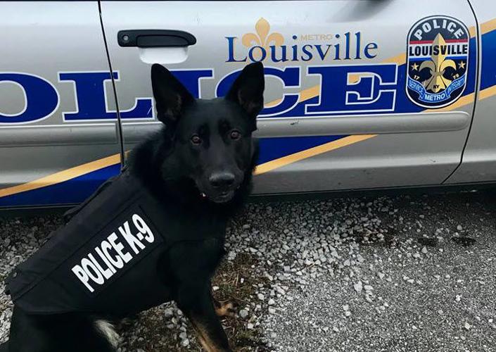 LMPD K9 Torro with protective vest near patrol car