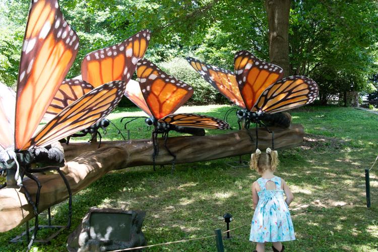 Bugs at Louisville Zoo
