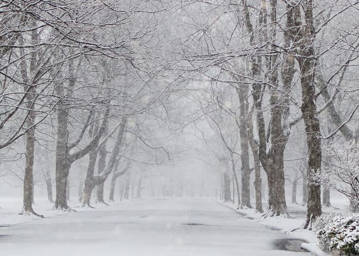 Snow in Louisville-1-27-21-Eric Crawford (6).jpg