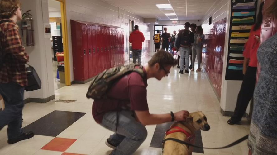 Pleasant Ridge Park High School eases student stress with newest addition