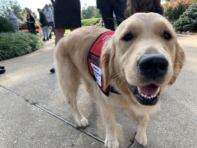 NORTON HEALTHCARE - FACILITY DOG 10-14-2021  (1).JPG