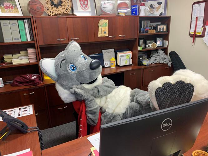 Snow Fox in principal's office at Bullitt Central High