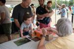 Louisville Zoo releases 1,000 monarch butterflies during Flutter Fest event