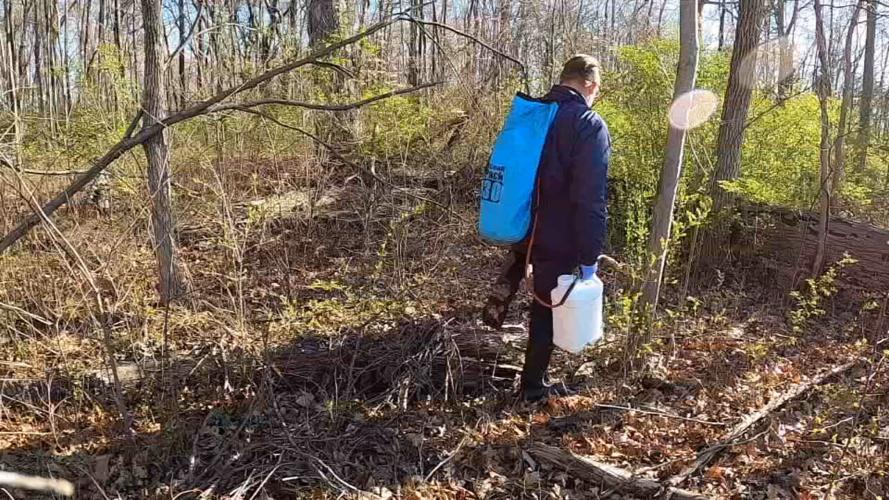 Louisville Metro Health Dept. mosquito pre-treatment
