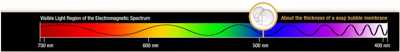 electro wavbe.PNG