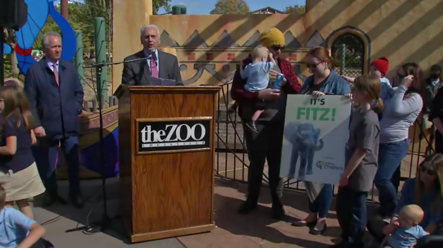 Fitz the Elephant Name Revealed