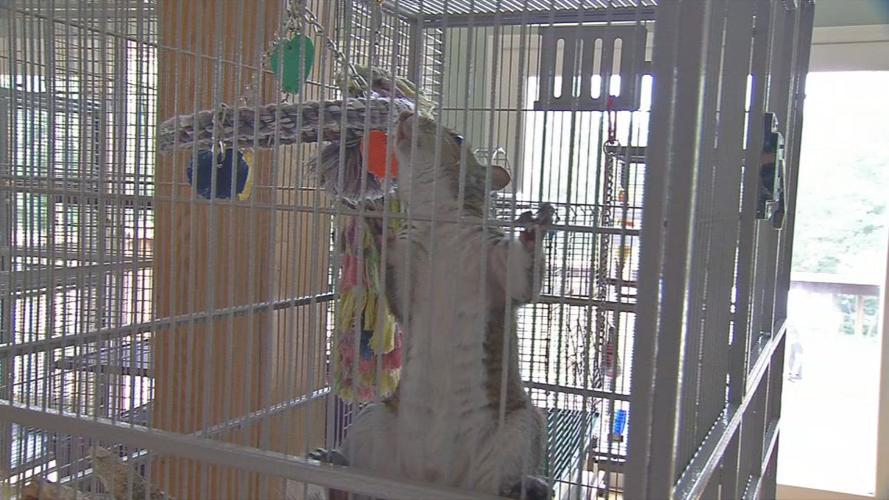 Second chances baby shower 5.jpg