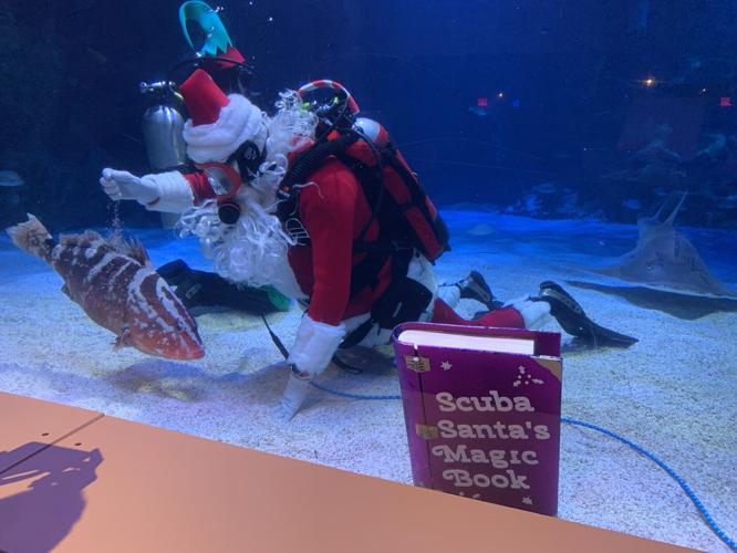 SCUBA SANTA - NEWPORT AQUARIUM - KK - 12-17-2020  (8).JPG