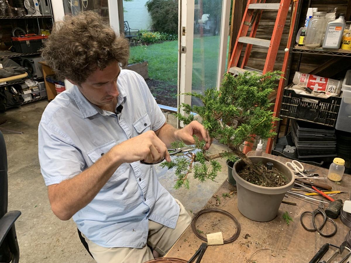 Twisted Nature Bonsai Shares Insights On The Art Of Nature Morning Wdrb Com
